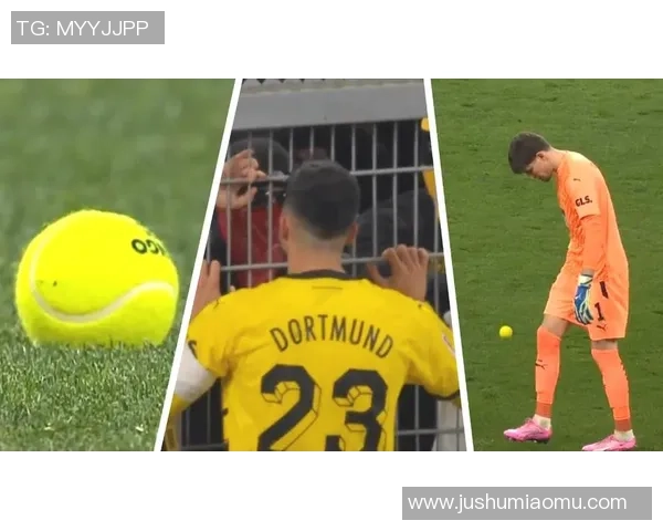 南京网球队状态引发热议球迷对表现与战术产生分歧