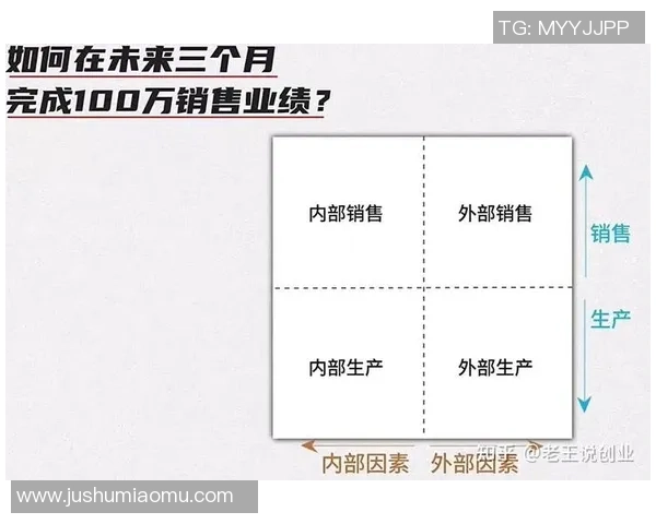 深圳篮球队的战术运营体系探讨与实践分析