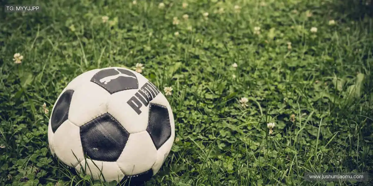 🎁限量周边，用热爱定义你的运动态度！