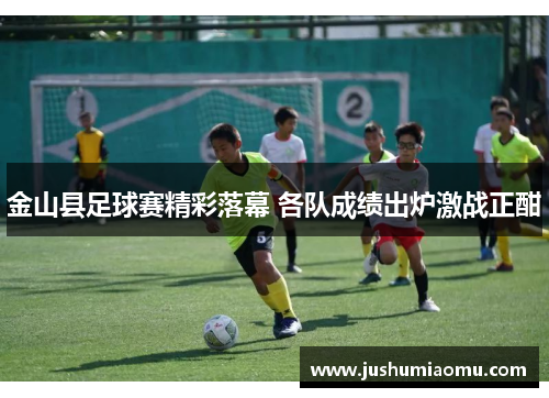 金山县足球赛精彩落幕 各队成绩出炉激战正酣
