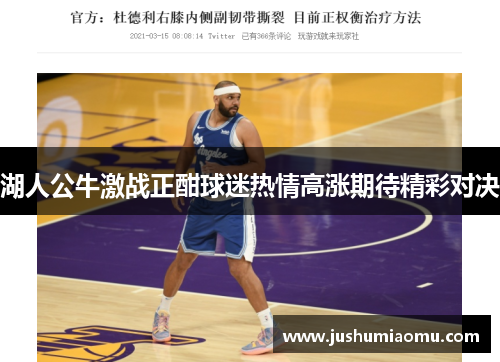 湖人公牛激战正酣球迷热情高涨期待精彩对决