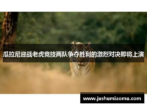 瓜拉尼迎战老虎竞技两队争夺胜利的激烈对决即将上演
