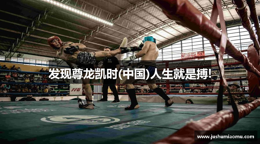 发现尊龙凯时(中国)人生就是搏!